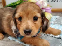 processed/437d78ef-e2e1-42d3-b0d0-e1b07cfa8d4b/facility/140b1c65-36e4-4a34-abf9-0cc40a963440