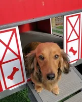 processed/437d78ef-e2e1-42d3-b0d0-e1b07cfa8d4b/facility/ce3f1a79-487a-4f63-bb95-67446315cda8