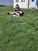 processed/43914cc2-90a8-4572-b19e-d9380b22796b/facility/04c2a641-e4ea-41e6-a4cd-90609df5a08a