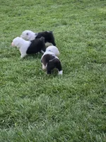 processed/43914cc2-90a8-4572-b19e-d9380b22796b/facility/9bbaa061-c64a-471a-ae6c-5a7c25b95c36