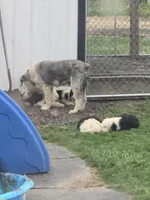 processed/43914cc2-90a8-4572-b19e-d9380b22796b/facility/9e89e47b-7689-4aa5-a7ac-50d1f5bda854