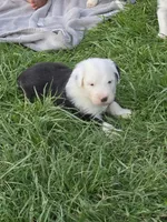 processed/43914cc2-90a8-4572-b19e-d9380b22796b/facility/a2bc859b-51cf-482f-842e-2893282373a6