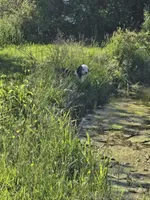 processed/43914cc2-90a8-4572-b19e-d9380b22796b/facility/fa675371-db6a-41d3-bb36-671b5332aa8b