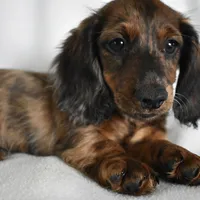 processed/4394682a-a9e7-4658-9b11-ffb07ffd857a/facility/017880b6-cc76-4faf-89c0-270bcec84baf