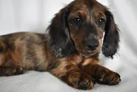 processed/4394682a-a9e7-4658-9b11-ffb07ffd857a/facility/017880b6-cc76-4faf-89c0-270bcec84baf