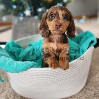 processed/4394682a-a9e7-4658-9b11-ffb07ffd857a/facility/4caaf618-6dc6-4a1f-8b46-9d58dc4b6da0