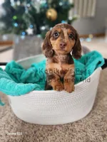 processed/4394682a-a9e7-4658-9b11-ffb07ffd857a/facility/4caaf618-6dc6-4a1f-8b46-9d58dc4b6da0