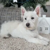 processed/4394682a-a9e7-4658-9b11-ffb07ffd857a/facility/4f0aee25-e3c1-4214-8963-62d7a24120e3