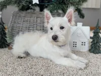 processed/4394682a-a9e7-4658-9b11-ffb07ffd857a/facility/4f0aee25-e3c1-4214-8963-62d7a24120e3