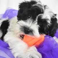 processed/4394682a-a9e7-4658-9b11-ffb07ffd857a/facility/7cdbfe79-aa17-4bbd-97d5-89a3cd6a8559