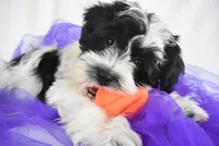 processed/4394682a-a9e7-4658-9b11-ffb07ffd857a/facility/7cdbfe79-aa17-4bbd-97d5-89a3cd6a8559