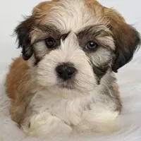 processed/4394682a-a9e7-4658-9b11-ffb07ffd857a/facility/a028f5aa-ff1e-45c6-aa3a-78444832e9ae