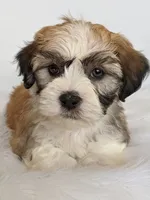 processed/4394682a-a9e7-4658-9b11-ffb07ffd857a/facility/a028f5aa-ff1e-45c6-aa3a-78444832e9ae