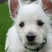 processed/4394682a-a9e7-4658-9b11-ffb07ffd857a/facility/a460d930-d2de-4107-b542-483866295207