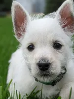 processed/4394682a-a9e7-4658-9b11-ffb07ffd857a/facility/a460d930-d2de-4107-b542-483866295207