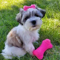 processed/4394682a-a9e7-4658-9b11-ffb07ffd857a/facility/ab1c59e7-cbfc-4db2-876f-08749fcec621