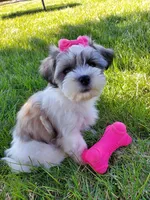 processed/4394682a-a9e7-4658-9b11-ffb07ffd857a/facility/ab1c59e7-cbfc-4db2-876f-08749fcec621