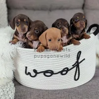 processed/4394682a-a9e7-4658-9b11-ffb07ffd857a/facility/b41d5410-6150-482d-a757-a28d02bb0e58