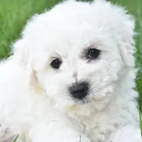 processed/4394682a-a9e7-4658-9b11-ffb07ffd857a/facility/c61a678c-6827-4c54-a7af-63ded3d831c1