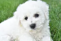 processed/4394682a-a9e7-4658-9b11-ffb07ffd857a/facility/c61a678c-6827-4c54-a7af-63ded3d831c1