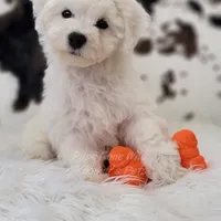 processed/4394682a-a9e7-4658-9b11-ffb07ffd857a/facility/d92e538e-d55d-4866-84d1-a83a62bdf3cf