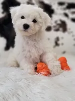 processed/4394682a-a9e7-4658-9b11-ffb07ffd857a/facility/d92e538e-d55d-4866-84d1-a83a62bdf3cf