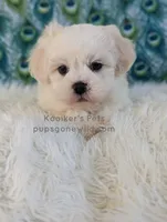 processed/4394682a-a9e7-4658-9b11-ffb07ffd857a/listing/1a570e91-62cc-480b-a96c-55da61e2f19b/09b780db-df20-40cd-b684-56047bebe289