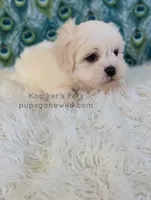 processed/4394682a-a9e7-4658-9b11-ffb07ffd857a/listing/1a570e91-62cc-480b-a96c-55da61e2f19b/2df0f136-ef75-4254-ae7c-c7b1fb01c331