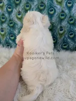 processed/4394682a-a9e7-4658-9b11-ffb07ffd857a/listing/1a570e91-62cc-480b-a96c-55da61e2f19b/f2d957b9-e606-4495-b060-b7dc6c016b31