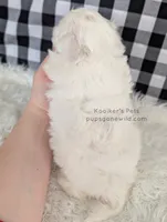 processed/4394682a-a9e7-4658-9b11-ffb07ffd857a/listing/2078b264-f475-42e4-bf38-bcb6317799cb/4def4b1e-9be6-45a0-9e88-4b91b39aeed0