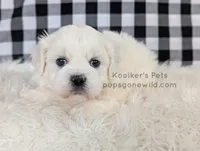 processed/4394682a-a9e7-4658-9b11-ffb07ffd857a/listing/2078b264-f475-42e4-bf38-bcb6317799cb/6b6ecee0-06e3-4659-9a0c-131096e1ea28