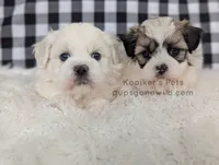 processed/4394682a-a9e7-4658-9b11-ffb07ffd857a/listing/2078b264-f475-42e4-bf38-bcb6317799cb/eb6e595b-86ae-4ef5-b2e1-60738b591bb2