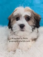 processed/4394682a-a9e7-4658-9b11-ffb07ffd857a/listing/29015967-85ae-4bda-a301-b79c690aa7b9/41d85f49-1c85-462f-a427-b7d459ddf58a