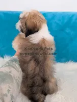 processed/4394682a-a9e7-4658-9b11-ffb07ffd857a/listing/29015967-85ae-4bda-a301-b79c690aa7b9/5797b33d-58ba-4105-8f05-4c3ca63b618e