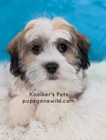 processed/4394682a-a9e7-4658-9b11-ffb07ffd857a/listing/29015967-85ae-4bda-a301-b79c690aa7b9/c057c5b2-e368-44ae-91d4-53568d422fbd