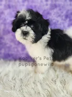 processed/4394682a-a9e7-4658-9b11-ffb07ffd857a/listing/30cf8d2a-f5da-4ada-a509-35ef56742ec8/1710fa69-e5c6-4c20-8bd4-825796a64ef3