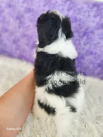 processed/4394682a-a9e7-4658-9b11-ffb07ffd857a/listing/30cf8d2a-f5da-4ada-a509-35ef56742ec8/368bd347-c2f7-475a-b2d8-39e929efaa69