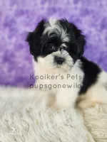 processed/4394682a-a9e7-4658-9b11-ffb07ffd857a/listing/30cf8d2a-f5da-4ada-a509-35ef56742ec8/dd11c9aa-f6c0-402d-914d-044f57c119ca