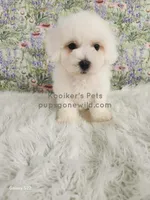 processed/4394682a-a9e7-4658-9b11-ffb07ffd857a/listing/31e2c49f-a5ec-40e0-86b6-d4a93988be77/368a888c-bfb8-4c46-bf3d-f7c6ced5591a