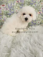 processed/4394682a-a9e7-4658-9b11-ffb07ffd857a/listing/31e2c49f-a5ec-40e0-86b6-d4a93988be77/43ae1315-4955-4316-9a45-e4ca127e11d4