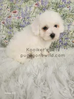 processed/4394682a-a9e7-4658-9b11-ffb07ffd857a/listing/31e2c49f-a5ec-40e0-86b6-d4a93988be77/7c88114c-202b-496b-a3e2-0e98b1b30414