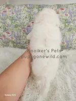 processed/4394682a-a9e7-4658-9b11-ffb07ffd857a/listing/31e2c49f-a5ec-40e0-86b6-d4a93988be77/cdd8e681-92f9-43a1-9bea-124bc94fc6e2