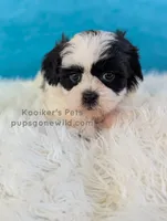 processed/4394682a-a9e7-4658-9b11-ffb07ffd857a/listing/333bfeef-22da-4038-9cd4-4b563c283c2c/45e61cf0-f170-4d07-a3ad-5a58c7074ad7