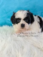 processed/4394682a-a9e7-4658-9b11-ffb07ffd857a/listing/333bfeef-22da-4038-9cd4-4b563c283c2c/72ae5ad5-cafd-47e5-843d-2bb2521bce89