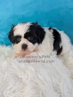 processed/4394682a-a9e7-4658-9b11-ffb07ffd857a/listing/333bfeef-22da-4038-9cd4-4b563c283c2c/8858189e-2572-4126-a55b-f1579f1f6632