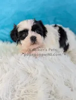 processed/4394682a-a9e7-4658-9b11-ffb07ffd857a/listing/333bfeef-22da-4038-9cd4-4b563c283c2c/aa500b97-ed7e-41d9-9a07-b5fd559442bb