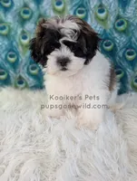 processed/4394682a-a9e7-4658-9b11-ffb07ffd857a/listing/5874eb96-51ce-40ff-8921-a8f4765c8d39/67da5b8d-b3f7-479c-b820-d835ab8c703c