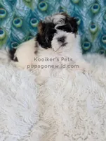 processed/4394682a-a9e7-4658-9b11-ffb07ffd857a/listing/5874eb96-51ce-40ff-8921-a8f4765c8d39/7b728ccc-008f-4d39-b4b6-dd73556548d4