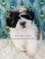 processed/4394682a-a9e7-4658-9b11-ffb07ffd857a/listing/5874eb96-51ce-40ff-8921-a8f4765c8d39/8453aa8b-46d0-48ac-af02-bb25630b2116