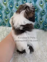 processed/4394682a-a9e7-4658-9b11-ffb07ffd857a/listing/5874eb96-51ce-40ff-8921-a8f4765c8d39/89fab7b6-9182-4175-bd9b-378c782f3778